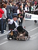 P1010017.JPG