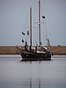 P1010115.JPG
