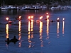 P1010156.JPG