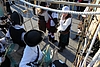 IMG_9793.JPG