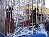 SDC18137.JPG