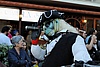 Pirati 2011 132.jpg