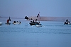 A01H4046.JPG