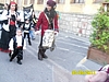 PIRATI 2011 704.jpg
