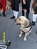 PIRATI 2011 442.jpg