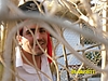 PIRATI 2011 477.jpg