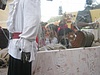 ACfb2_176.jpg