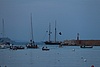 A01H5479.JPG