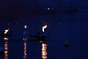 A01H5620.JPG