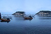 pirat 278.jpg
