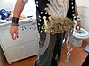 SAM_0609.JPG