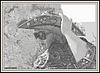 ZDCndp2012_41.jpg