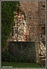 ZDCndp2012_45.jpg