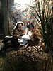 ZDCndp2012_53.jpg
