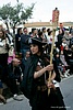 fbfr5_10.jpg