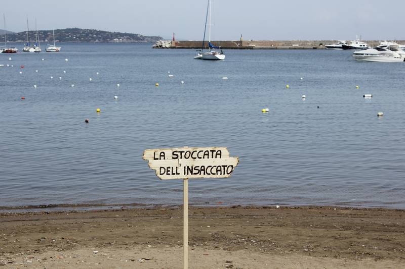 _MG_0009.JPG