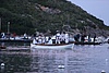 C15T5136.JPG