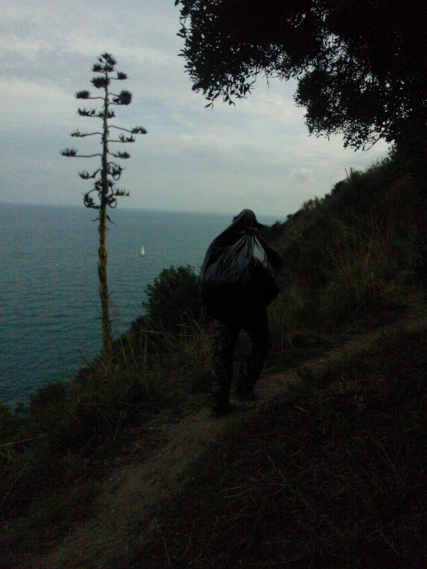 WP_001084.jpg