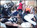 SDC18126.JPG