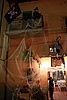A01H6023.JPG