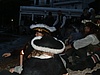 pirat 289.jpg