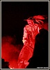 ZDCndp2012_8.jpg