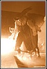 ZDCndp2012_9.jpg