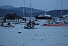 C15T4338.JPG