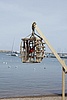 _MG_0008.JPG