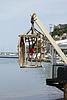 _MG_0015.JPG