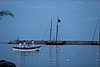 C15T5149.JPG