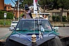Cani Rivomitatori-2937.jpg