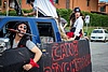 Cani Rivomitatori-2940.jpg