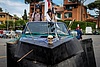 Cani Rivomitatori-2968.jpg