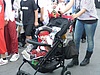08.jpg