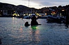 _DSC0246.JPG