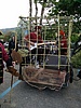 033.jpg