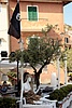 _MG_3503.JPG