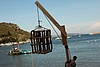 _MG_3506.JPG
