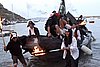 _MG_7572.JPG