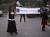 IMGP3133.jpg
