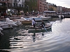 IMGP3190.jpg