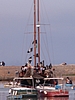 IMG_3561.JPG