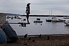 IMG_9084.JPG