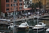 IMG_9609.JPG
