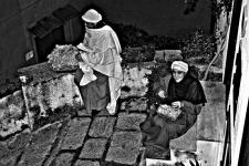 100_0255 copia