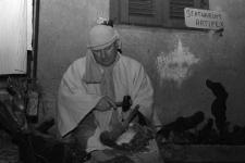 100_0264 copia