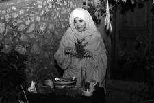 100_0268 copia