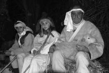 100_0290 copia