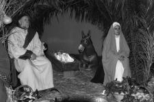 100_0292 copia
